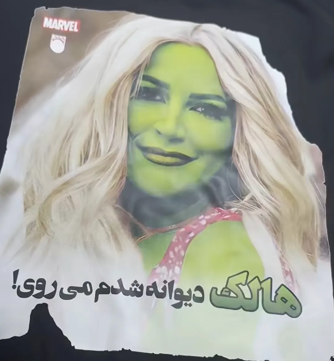 دانلود آهنگ دیوانه شدم(حال که دیوانه شدم میروی)از سپیده با متن