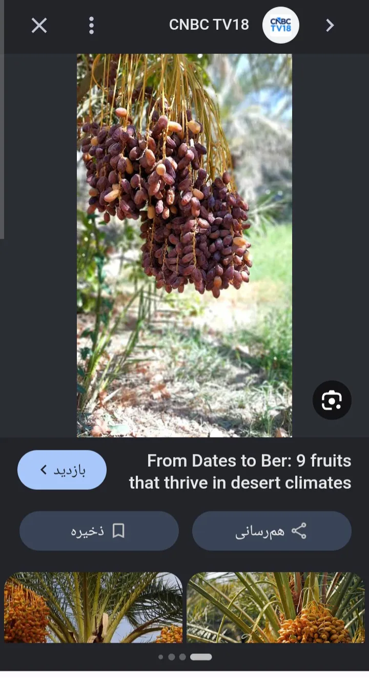 بخش اخر سریال آوای باران