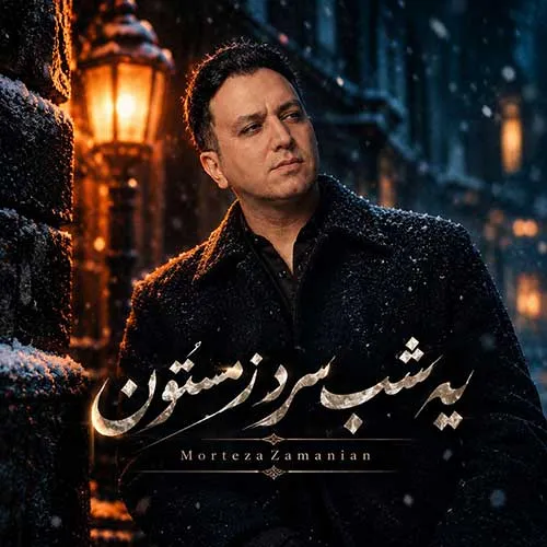 متن آهنگ مرتضی زمانیان به نام یه شب سرد زمستون