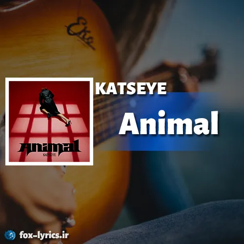 دانلود آهنگ Animal از KATSEYE + متن و ترجمه