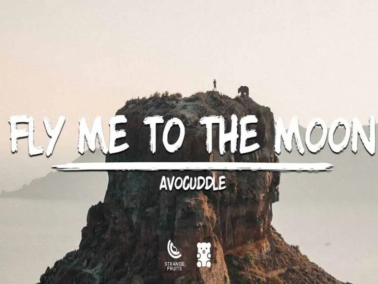 دانلود آهنگ خارجی Fly me to the moon از Avocuddle