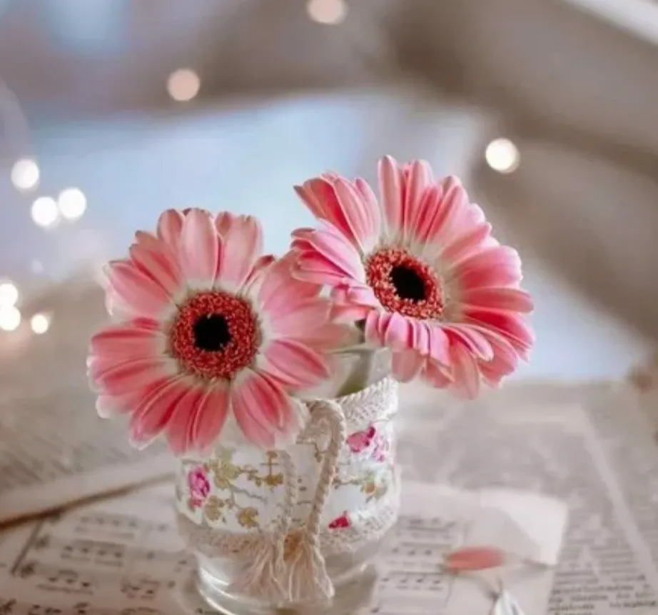 دانلود آهنگ Dai Dai از Shakira برای جام جهانی ۲۰۲۶ + ترجمه شکیرا و بورنا بوی – دای دای