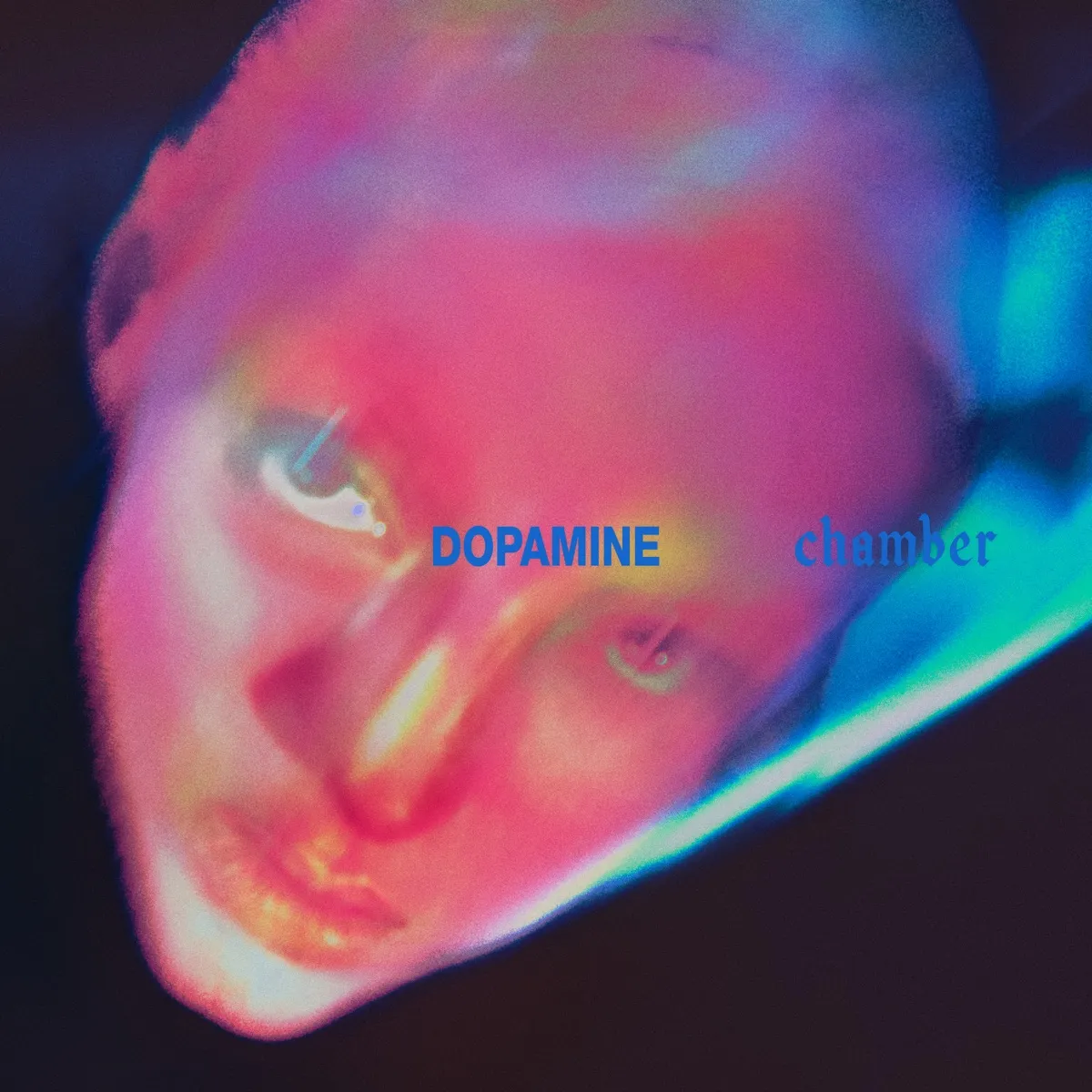 دانلو آهنگ Fontaines D.C. – Tongue