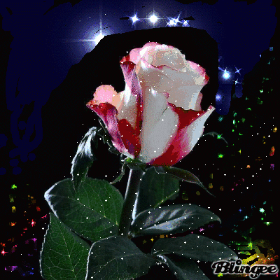 خنده ی غنچه