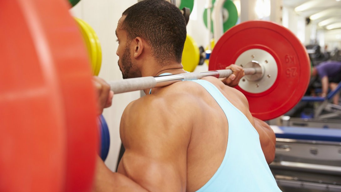 بدنسازی-پرورش اندام-مکمل ها-عضلات-Muscles
