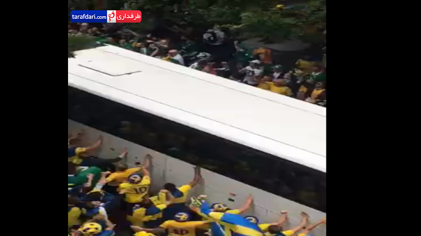 ویدیو؛ رفتار دوستانه هواداران ایرلند و سوئد