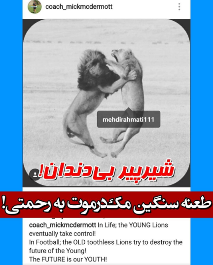 حمله طوفانی "میک مک درموت" به "سید مهدی رحمتی" !!!