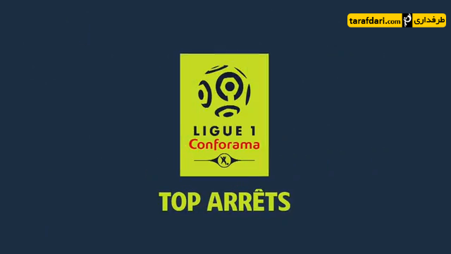 فرانسه-واکنش های برتر ماه-دنیل سوباسیچ-danijel subasic