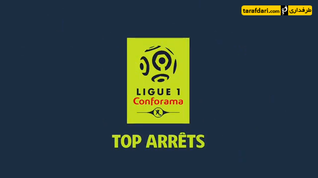 فرانسه-واکنش های برتر-دنیل سوباسیچ-danijel subasic