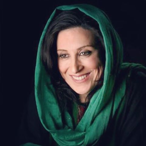 حمایت علی کریمی از فاطمه معتمدآریا