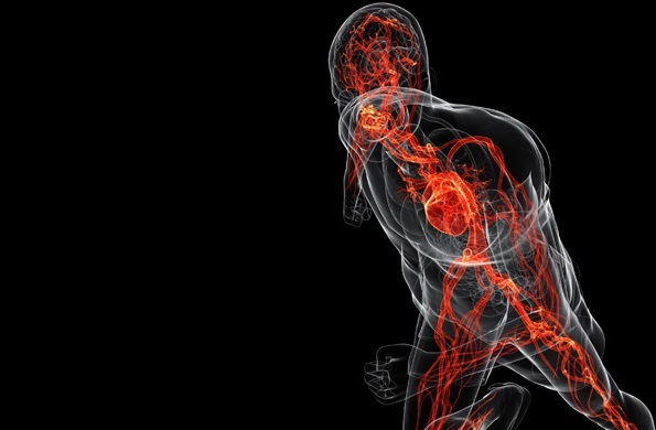 اگر می خواهید ورزش مفیدی را انجام دهید این مطلب را حتما بخوانید