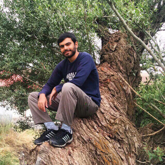 حمیدرضا علیا