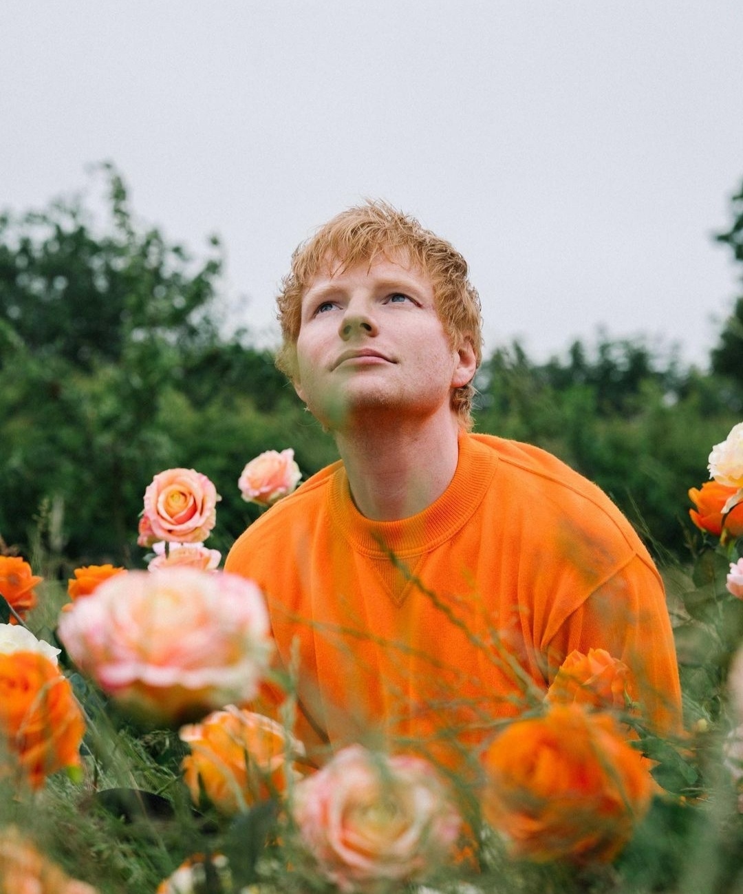 بهترین آهنگهای اد شیرن | Top 13 Ed Sheeran Songs