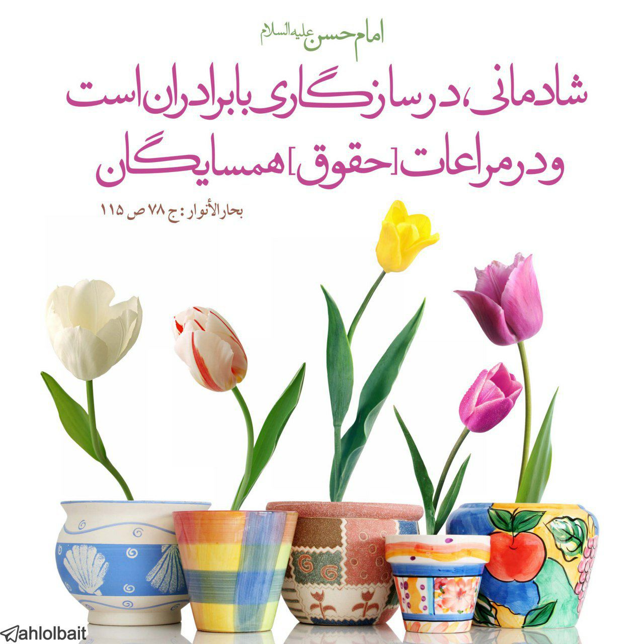 ??حکمت های امام دوم (ع)??