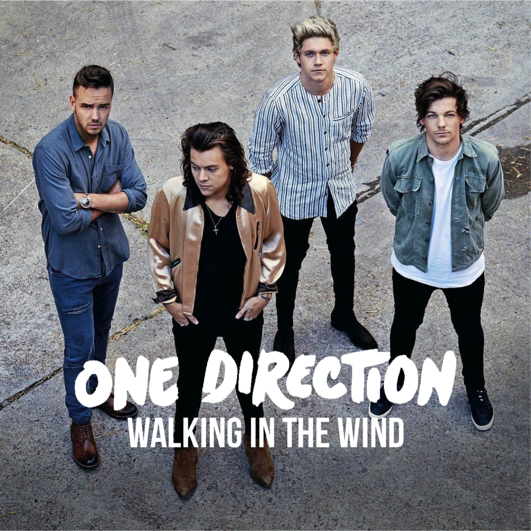 دانلود آهنگ Walking In The Wind از One Direction