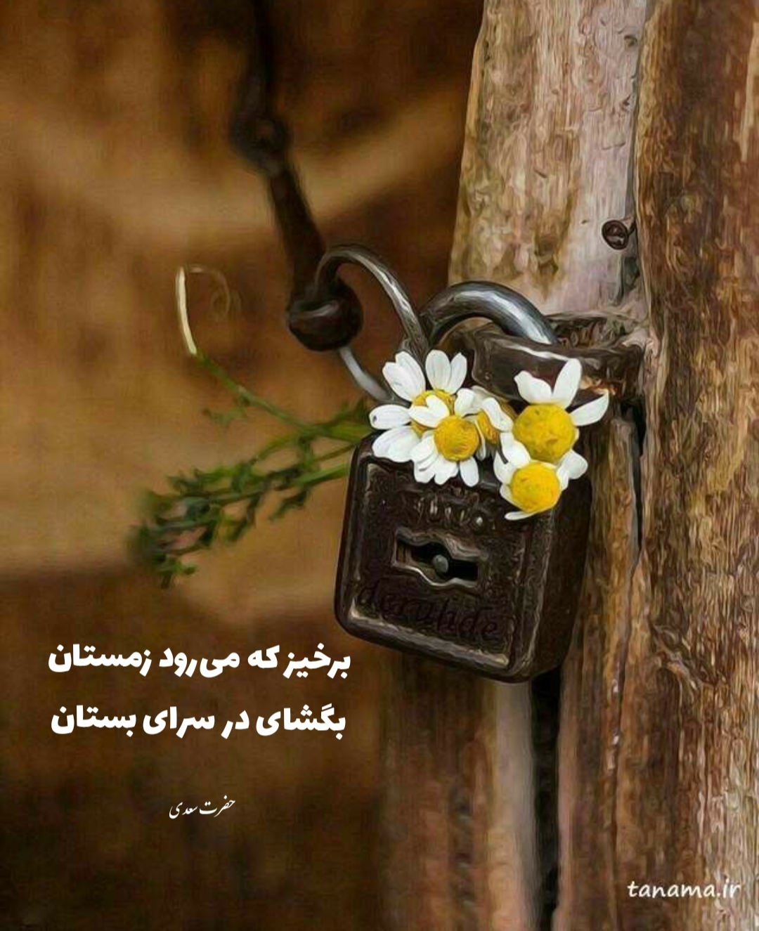 میرود زمستان...