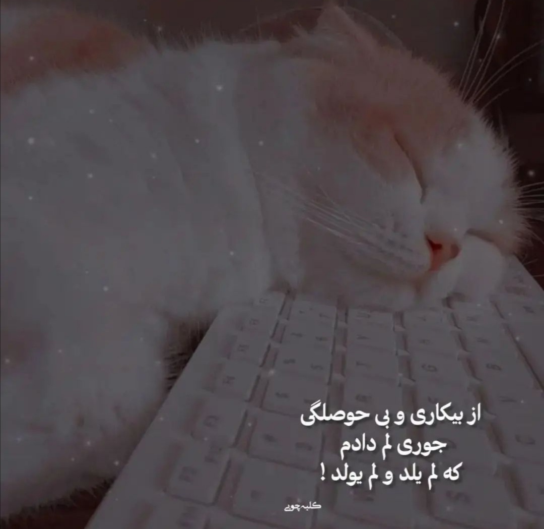 ??با توجه به ماه تولدت به سوال مورد نظر پاسخ بده?