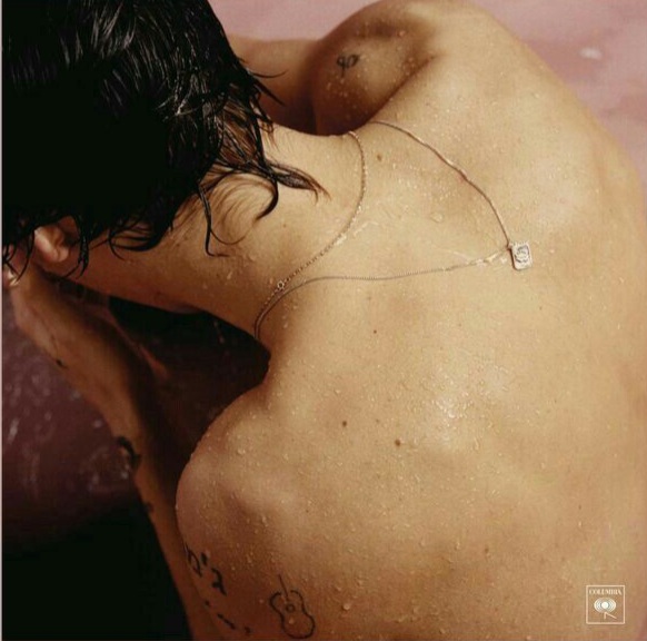 دانلود آلبوم Harry Styles از هری استایلز
