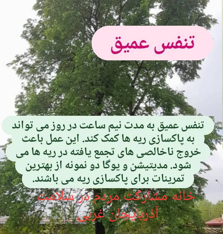 متن تامل برانگیز