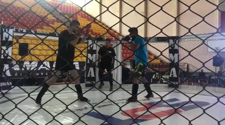 MMA قهرمانی کشور| فینالیستهای هفته دوم معرفی شدند