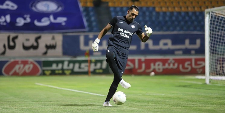 هوادار