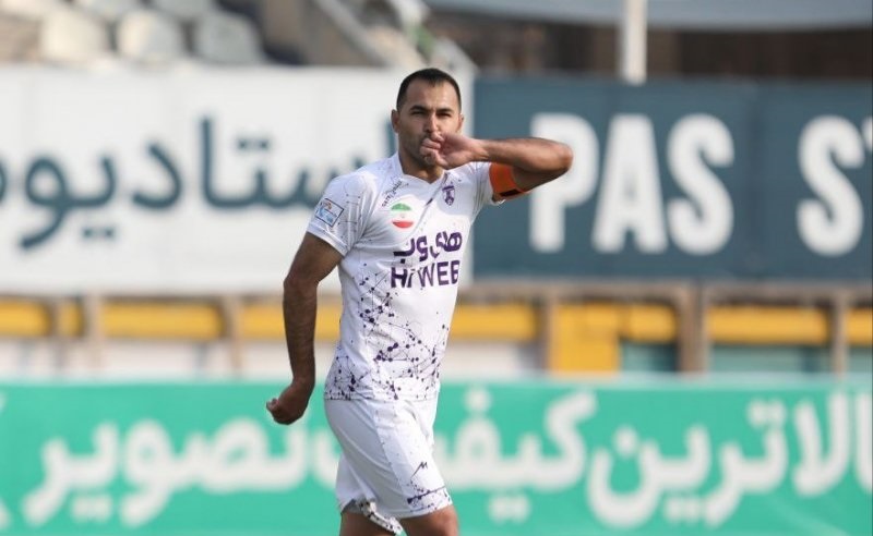 هوادار