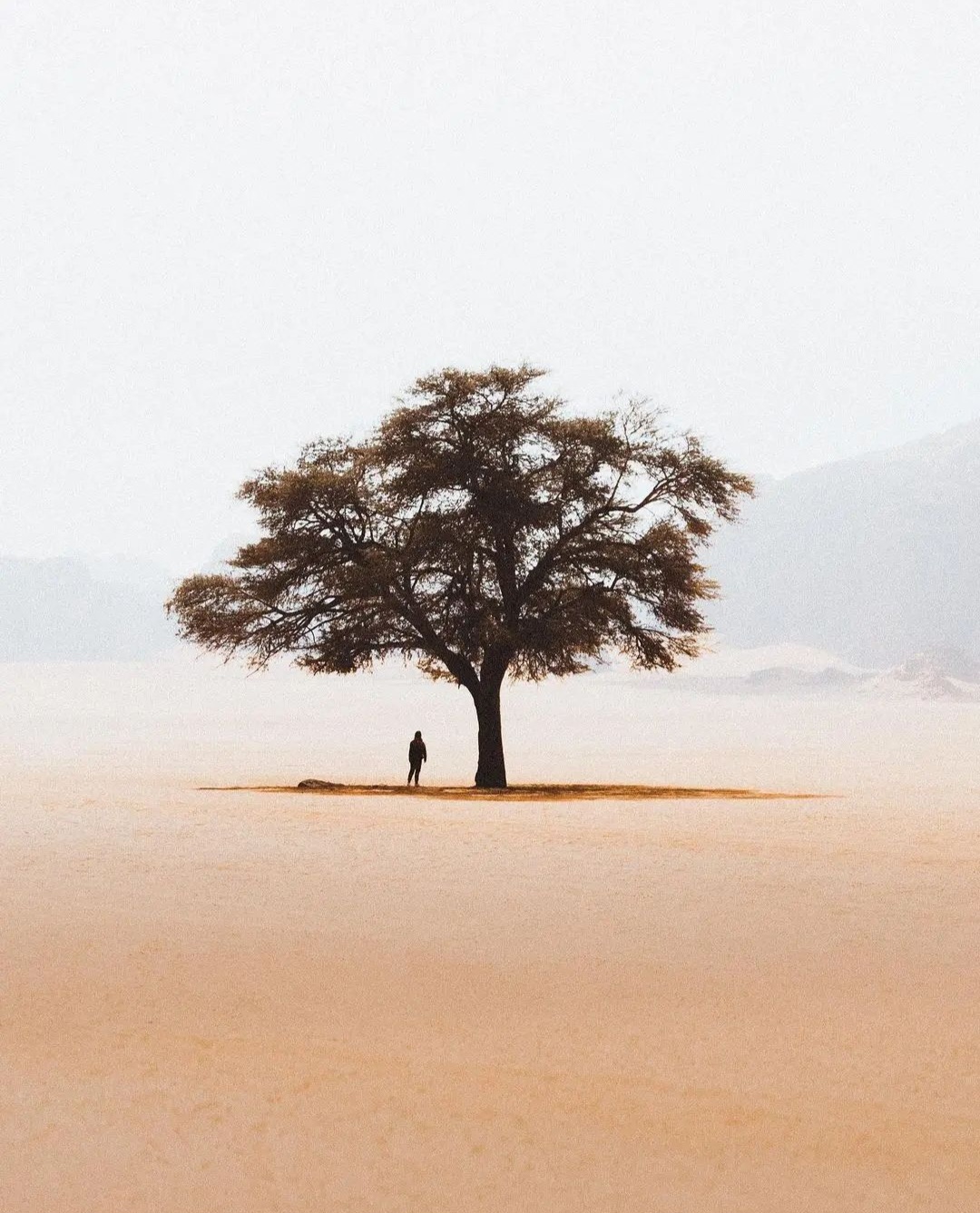 دانلود آهنگ Why Did I Lose You از Jodi Valentin
