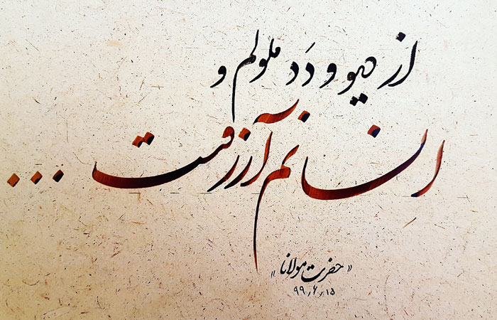 ? تو از آیین انسانی چه می دانی؟ اگر جان را خدا داده ست چرا باید تو بستانی؟