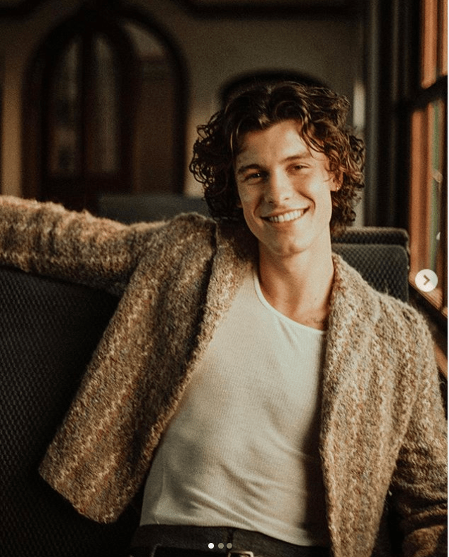 دانلود آهنگ shawn mendes _ easy