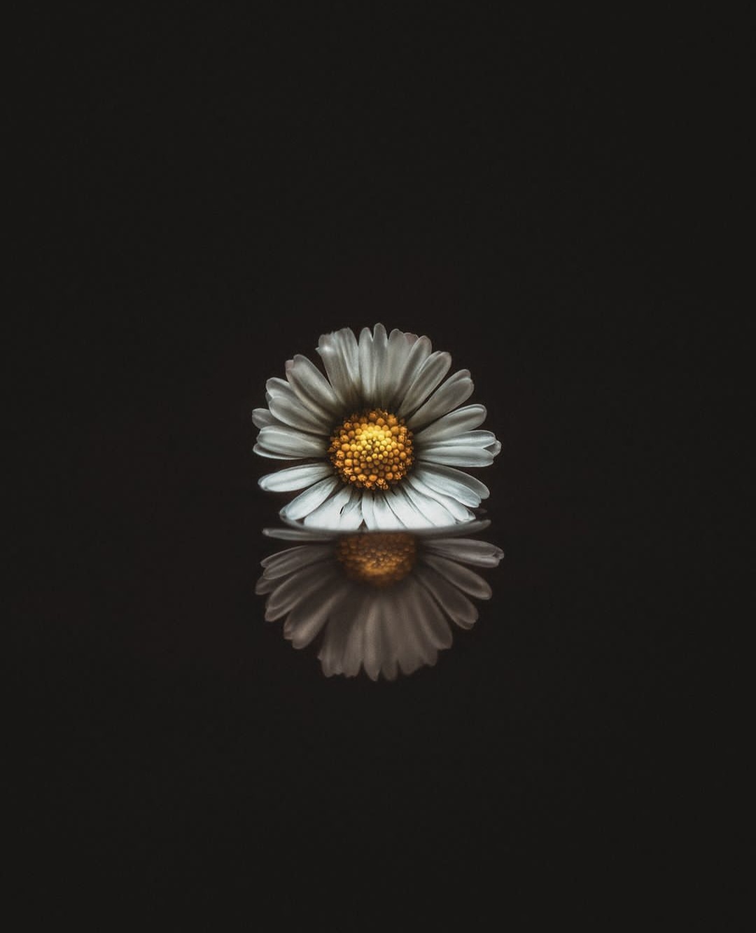 آهنگ بی کلام Close To Her از Benjamin Gustafsson