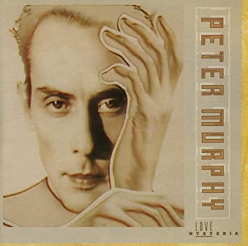 دانلود آهنگ All night long _ Peter Murphy