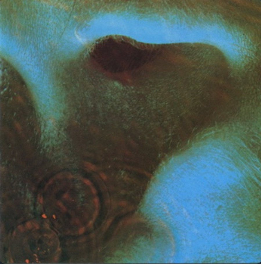 Fearless_pink floyd