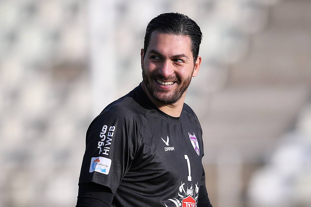 هوادار