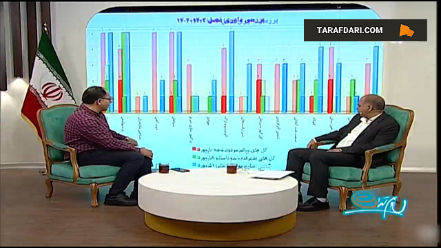 حواشی داوری