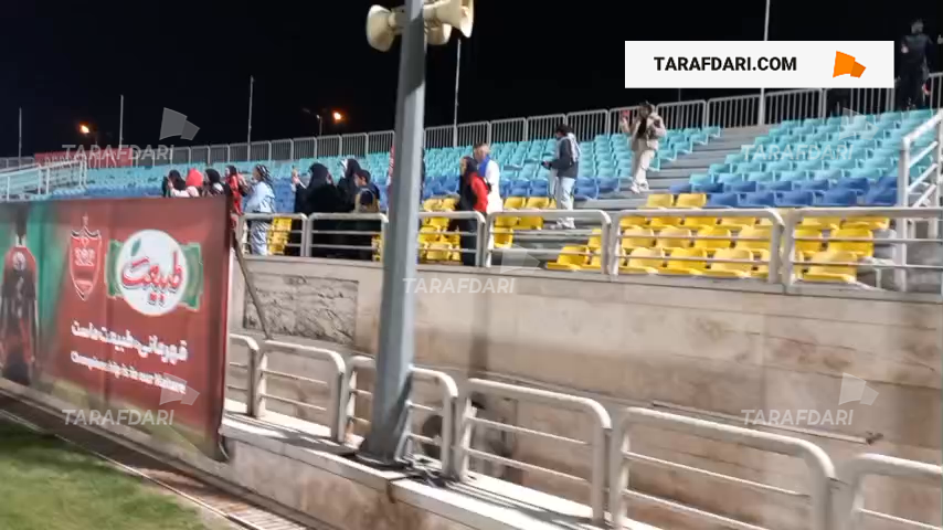 بانوان پرسپولیسی