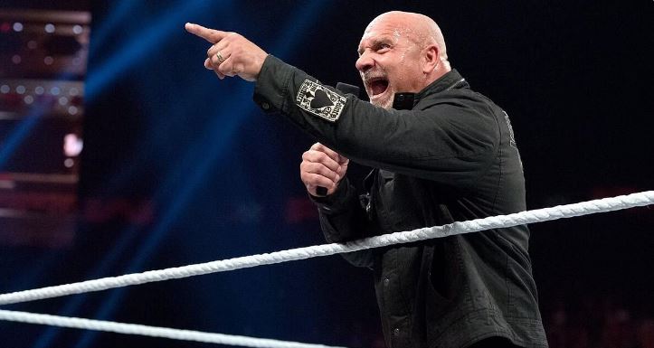 گلدبرگ در سال 2018 به تالار مشاهیر WWE اضافه شد