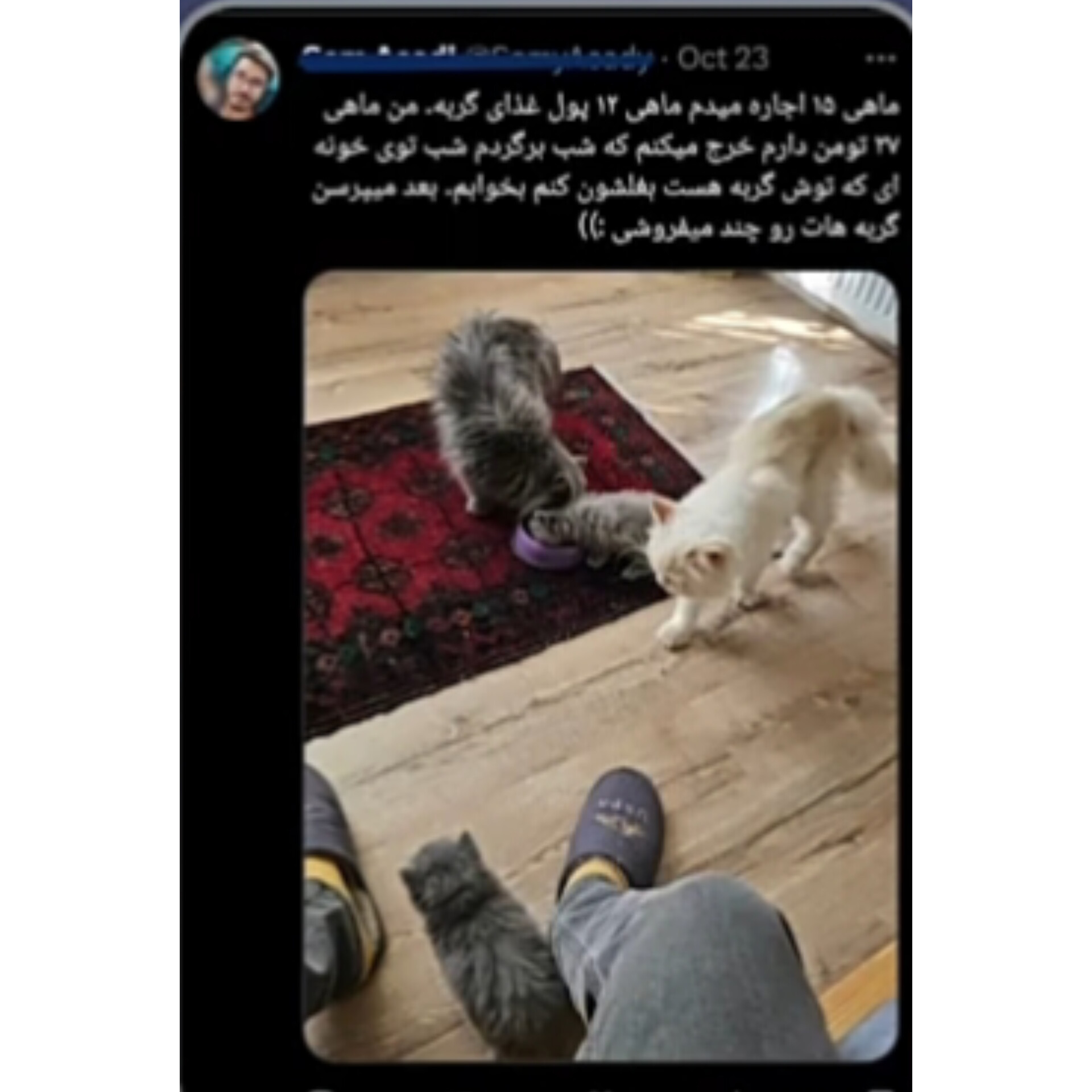 ما داریم اینجا زحمت میکشیم...