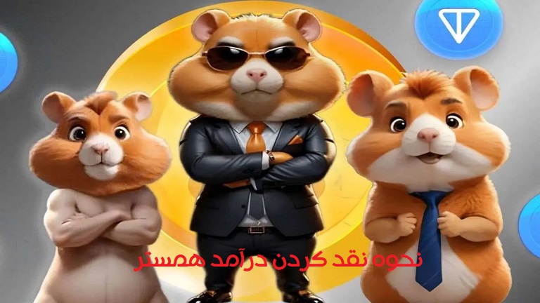 آموزش صفر تا صد همستر کامبت؛ همستر چیست و چگونه میتوان از آن درآمد کسب کرد؟