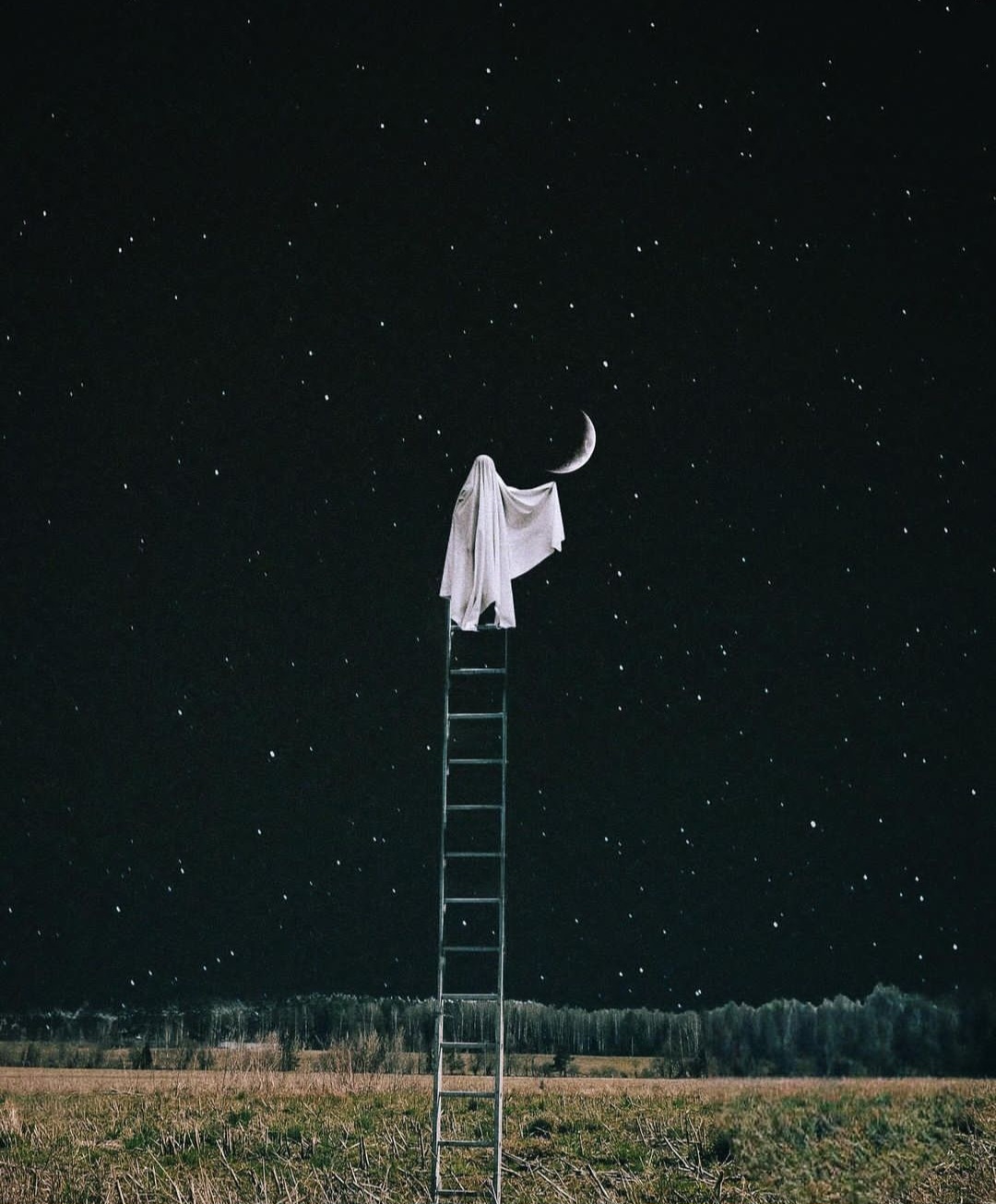 دانلود آهنگ Taking Chances از Sharon Van Etten