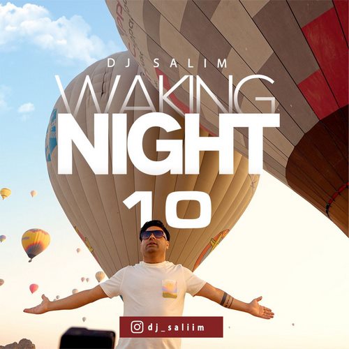 دانلود ریمیکس waking night 10 از دیجی سلیم
