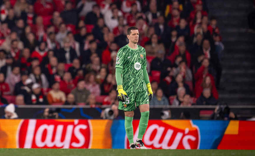 وویچک شزنی