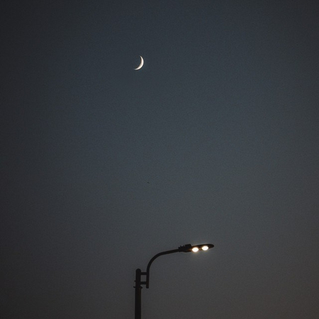 گلومی - ناجی