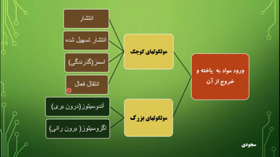 چگونه مولکول های مختلف به سلول وارد یا از آن خارج میشوند؟