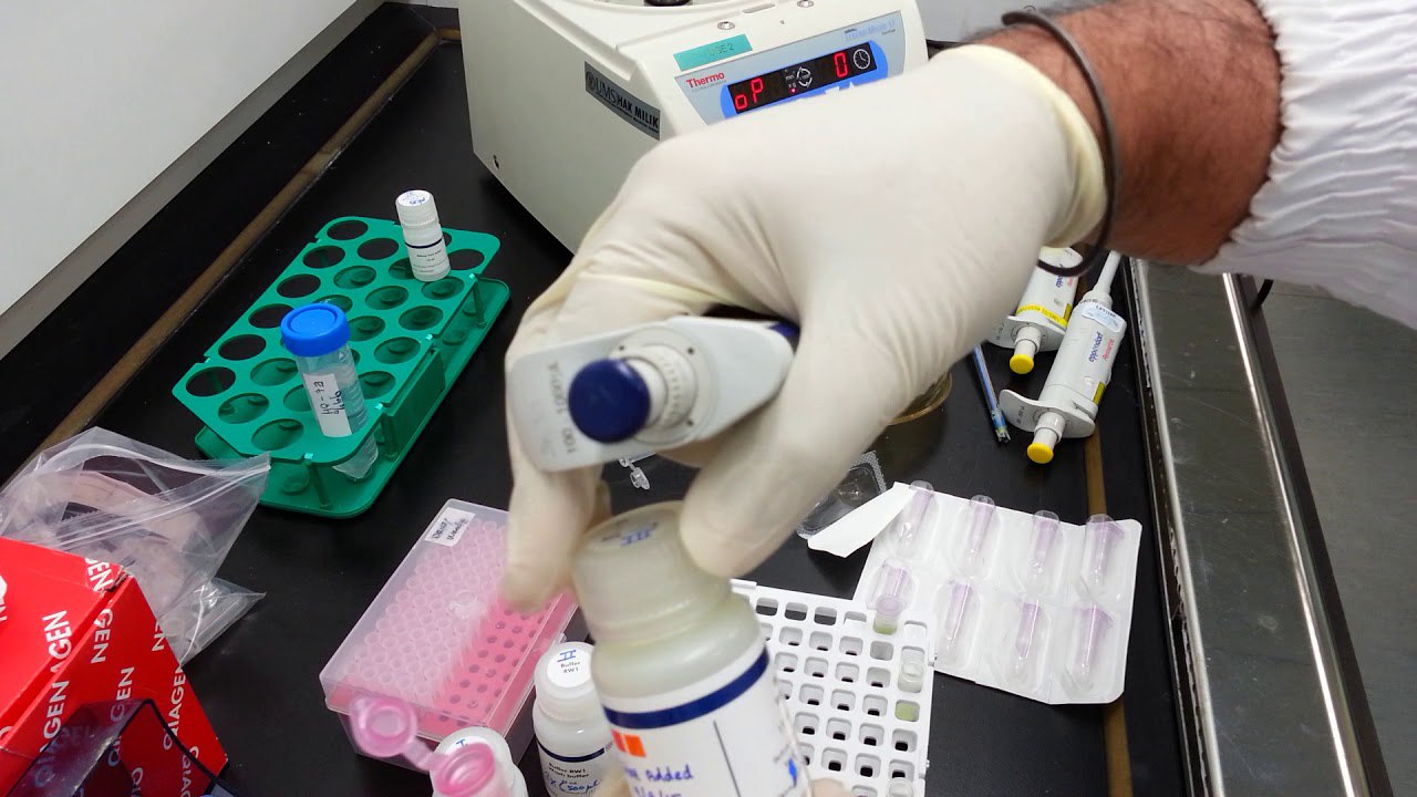 تکنیک استخراج RNA + پروتکل