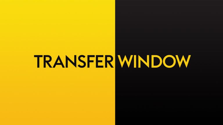 نقل و انتقالات-transfer window