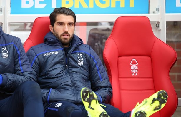 ناتینگهام فارست-چمپیونشیپ-انگلیس-ایران-nottingham forest-championship-england-iran