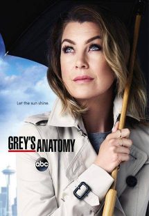دانلود زیرنویس فارسی سریال Greys Anatomy (تا آخرین قسمت)