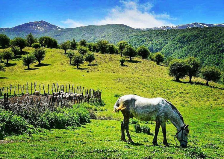 طبیعت..منطقه شکار ممنوع (چلاو آمل)❤❤