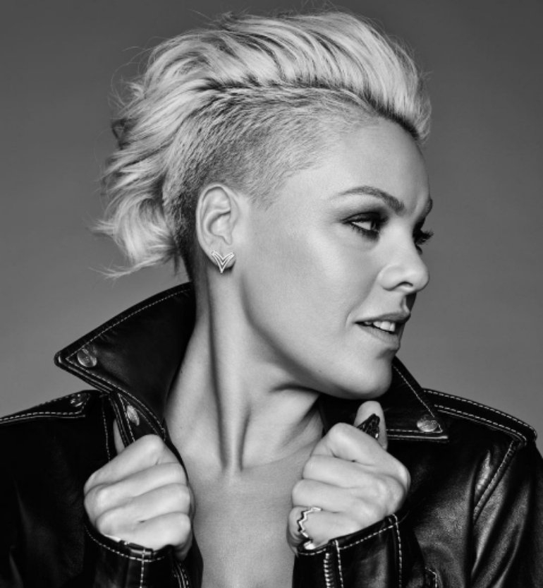 دانلود آهنگ But We Lost It از P!nk