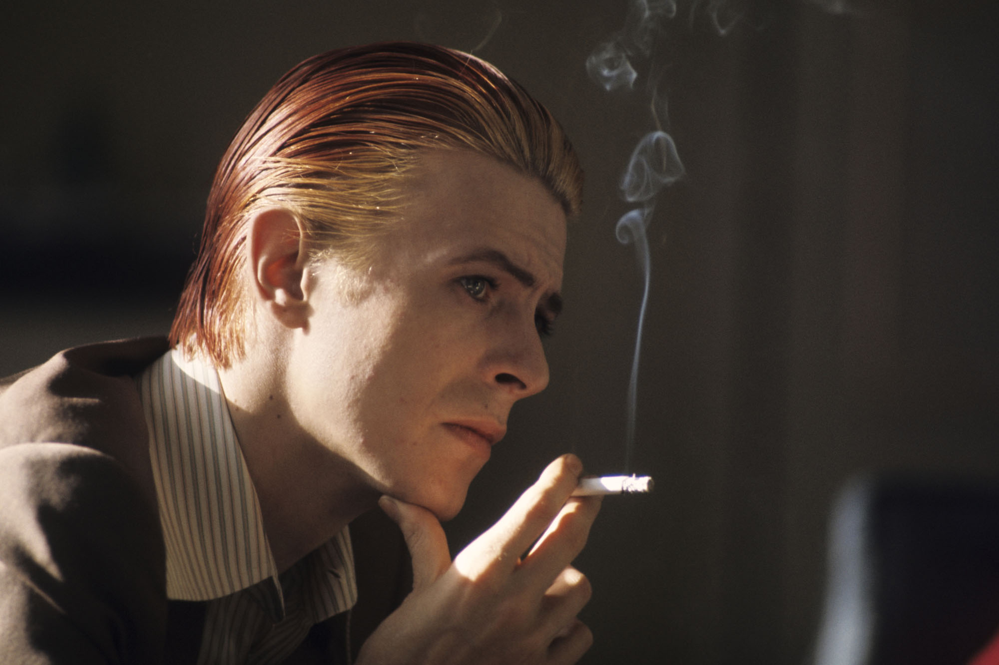 دانلود آهنگ زیبای David Bowie - Wild Is The Wind